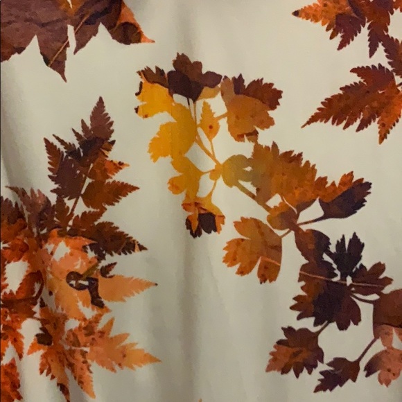 Fall tunic - Picture 2 of 2